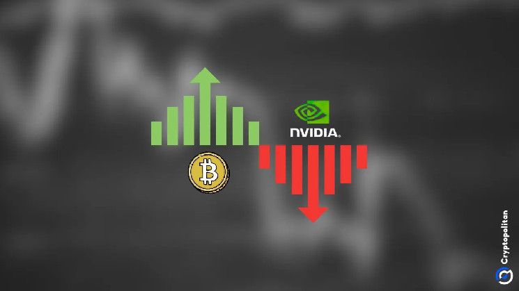 Las acciones caen tras decepcionantes resultados de Nvidia, ¡mientras Bitcoin desafía la tendencia! - Cripto Boom