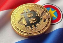 Hive Anuncia Actualización sobre Construcción de Sitio Minero en Paraguay y Renovación de Hardware: Descubre las Nuevas Oportunidades Cripto - Cripto Boom