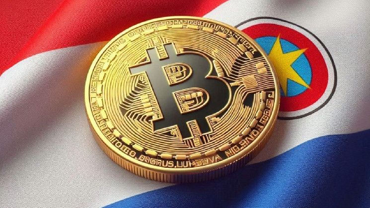 Hive Anuncia Actualización sobre Construcción de Sitio Minero en Paraguay y Renovación de Hardware: Descubre las Nuevas Oportunidades Cripto - Cripto Boom