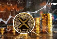 XRP se dispara un 109% en volumen al alcanzar $0.7: Descubre más detalles - Cripto Boom