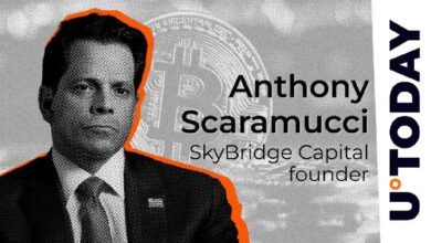 'Bitcoin es Cobertura': Anthony Scaramucci sobre la Compra Oportunista de BlackRock - Descubre Más - Cripto Boom