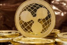 XRP de Ripple al Infinito: Análisis de Noticias y Predicción de Precio [Noviembre 2024] - ¡Descubre Más! - Cripto Boom