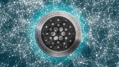 Cardano Propone Directrices Neutras para Mitigar Riesgos de Terceros: Descubre Más - Cripto Boom