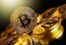 El mercado post-halving 2024 impulsa el precio de Bitcoin, no solo Trump, dice cofundador de Onramp. ¡Descubre más! - Cripto Boom