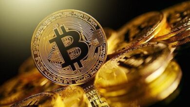 El mercado post-halving 2024 impulsa el precio de Bitcoin, no solo Trump, dice cofundador de Onramp. ¡Descubre más! - Cripto Boom