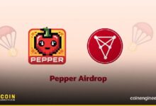 Binance distribuye tokens 1000PEPPER a titulares de CHZ: ¡Descubre más! - Cripto Boom