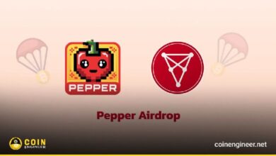 Binance distribuye tokens 1000PEPPER a titulares de CHZ: ¡Descubre más! - Cripto Boom