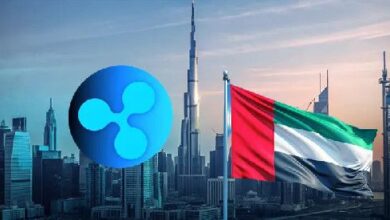 Ripple en los EAU: Descubre el Papel de XRP en la Expansión del Dirham Stablecoin - Cripto Boom