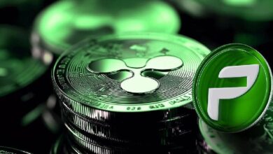 Predicción del Precio de XRP para el 27 de Noviembre: ¿Qué Esperar? - Cripto Boom