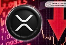 XRP Rechazado a $0.75 por Tercera Vez en 12 Meses: Descubre Qué Significa Esto para Inversores - Cripto Boom