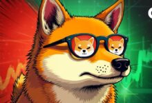 ¡Alerta de Precio de Shiba Inu! ¿Rebote de SHIB o Caída Inminente? - Cripto Boom