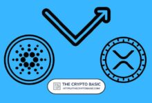 Analista Predice Precio de XRP si Cardano Alcanza $1.89: ¡Descubre Más! - Cripto Boom