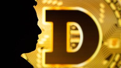 Dogecoin se dispara un 60% desde la noche electoral; Descubre por qué - Cripto Boom