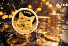 Drama del Cruce Dorado de Shiba Inu (SHIB): ¡Descubre el Giro Inesperado! - Cripto Boom