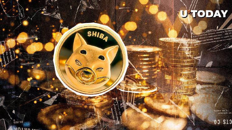 Drama del Cruce Dorado de Shiba Inu (SHIB): ¡Descubre el Giro Inesperado! - Cripto Boom