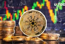 Cardano (ADA) se Dispara un 211% en Precio: ¿Qué Nos Espera? ¡Descúbrelo! - Cripto Boom