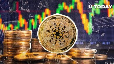 Cardano (ADA) se Dispara un 211% en Precio: ¿Qué Nos Espera? ¡Descúbrelo! - Cripto Boom