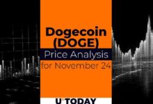 Predicción del Precio de DOGE para el 24 de Noviembre: ¿Te lo Vas a Perder? - Cripto Boom