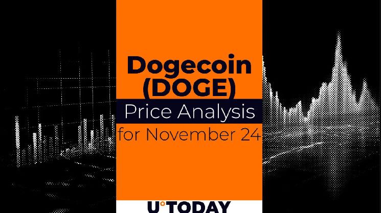 Predicción del Precio de DOGE para el 24 de Noviembre: ¿Te lo Vas a Perder? - Cripto Boom