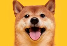 Dogecoin se Desacelera tras Ganancias Monstruosas—Descubre los Detalles Ahora - Cripto Boom