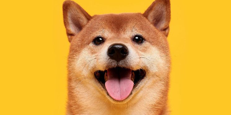 Dogecoin se Desacelera tras Ganancias Monstruosas—Descubre los Detalles Ahora - Cripto Boom