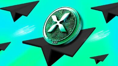 XRP se prepara para superar a BNB: ¡Descubre el potencial rally del 35%! - Cripto Boom