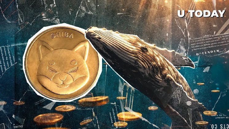 Actividad de Ballenas Shiba Inu se Dispara un 148%, pero Precio de SHIB Cae - ¿Es Momento de Comprar? - Cripto Boom