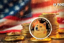 196 Millones de Dogecoin Sorprenden a la Mayor Bolsa de Criptomonedas de EE. UU. ¡Descúbrelo! - Cripto Boom