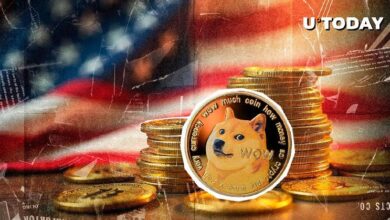 196 Millones de Dogecoin Sorprenden a la Mayor Bolsa de Criptomonedas de EE. UU. ¡Descúbrelo! - Cripto Boom