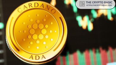 Camino de Cardano hacia $8: Analista Pronostica Aumento Inicial del 531% a $2.80 Antes de un Enorme Salto del 1,700% a $7.77+. Descubre Más Ahora! - Cripto Boom