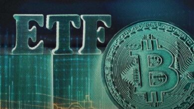 Los ETF Acumulan Más de un Millón de BTC: Descubre su Impacto en la Estabilidad Futura del Mercado - Cripto Boom