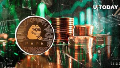 ¡Increíble! Ingreso de Ballenas PEPE se Dispara un 4,479% en 24 Horas: ¿Qué Sigue? - Cripto Boom