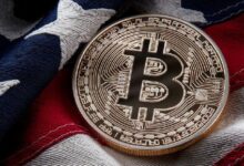 Bitcoin Triunfa en el Día de las Elecciones—¡Descubre las Altcoins que lo Superan! - Cripto Boom