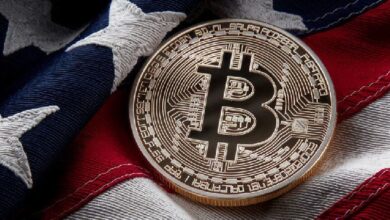 Bitcoin Triunfa en el Día de las Elecciones—¡Descubre las Altcoins que lo Superan! - Cripto Boom