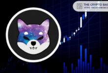 Descubre las Proyecciones de Precios de Shiba Inu para 2025, 2030 y 2040: ¡No te lo pierdas! - Cripto Boom