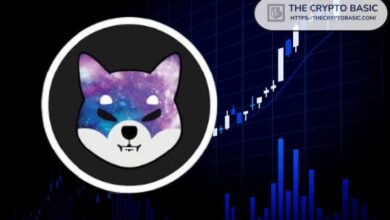 Descubre las Proyecciones de Precios de Shiba Inu para 2025, 2030 y 2040: ¡No te lo pierdas! - Cripto Boom