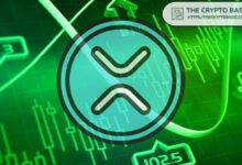 ¡Descubre 5 Factores Clave que Podrían Impulsar a XRP a $1,000! - Cripto Boom