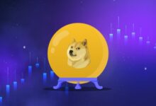 Analista de Dogecoin Revela Oportunidades de Compra a Precios Más Bajos: ¡Descubre Más! - Cripto Boom