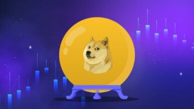 Analista de Dogecoin Revela Oportunidades de Compra a Precios Más Bajos: ¡Descubre Más! - Cripto Boom