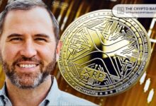 El CEO de Ripple Menciona XRP por Primera Vez en BBC: Descubre Más - Cripto Boom