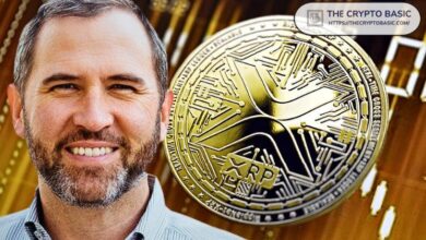 El CEO de Ripple Menciona XRP por Primera Vez en BBC: Descubre Más - Cripto Boom