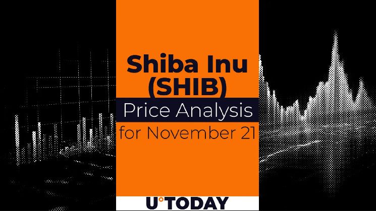 Predicción del Precio de SHIB para el 21 de Noviembre - Descubra las Tendencias Ahora - Cripto Boom