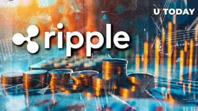 El CEO de SBI Insta a Ripple a Prepararse para su OPI 'Lo Antes Posible': Descubre los Detalles - Cripto Boom