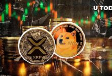 DOGE y XRP Superan a Todas las Criptomonedas: Descubre el Fenómeno Ahora - Cripto Boom