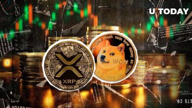 DOGE y XRP Superan a Todas las Criptomonedas: Descubre el Fenómeno Ahora - Cripto Boom