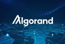 Predicción del precio de Algorand: ¡Aprovecha el raro patrón que indica más ganancias para ALGO! - Cripto Boom