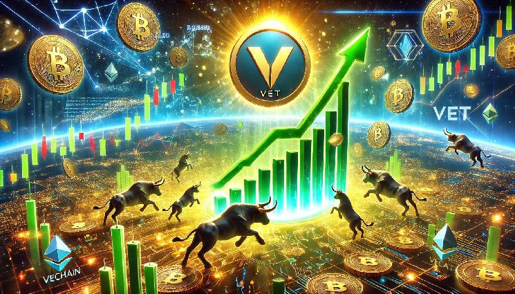 Noticias de VeChain: Informe Financiero T2 y T3 2024 Destaca VeBetter DAO y Salud del Tesoro - ¡Descubre Más! - Cripto Boom