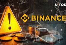 Binance Lanza Importante Alerta para la Comunidad Cripto, Descubre el Motivo - Cripto Boom