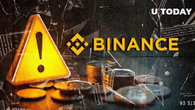 Binance Lanza Importante Alerta para la Comunidad Cripto, Descubre el Motivo - Cripto Boom