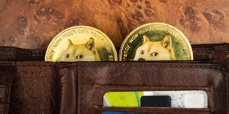 Analistas Afirman que los ETFs de Dogecoin No Son Tan Locos como Parecen: ¡Descubre Por Qué! - Cripto Boom